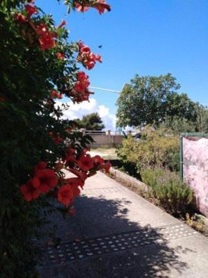 Apartments Medici Zaostrog Dış mekan fotoğraf